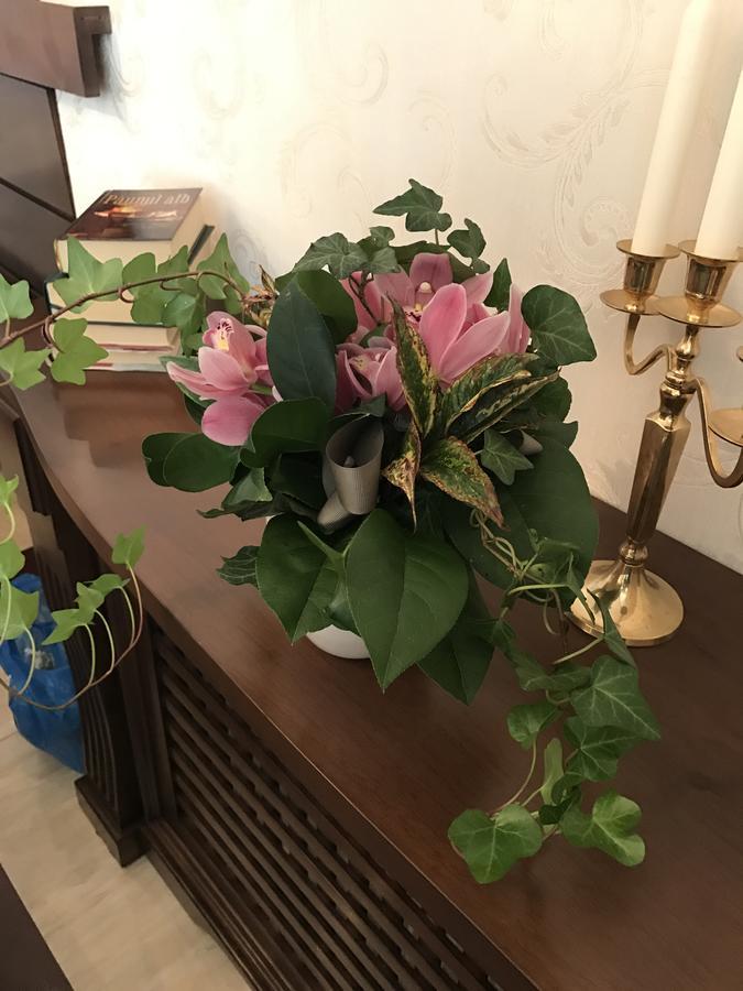 Hotel Boutique Belvedere Сіная Екстер'єр фото